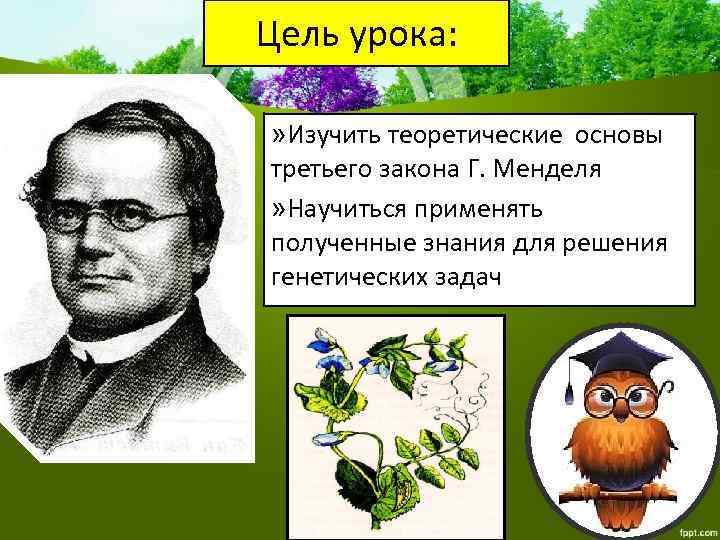 Цель урока: » Изучить теоретические основы третьего закона Г. Менделя » Научиться применять полученные
