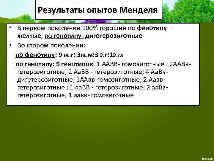 Результаты опытов Менделя • В первом поколении 100% горошин по фенотипу – желтые, по