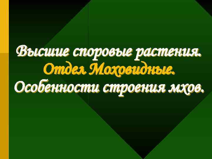 Высшие споровые растения. Отдел Моховидные. Особенности строения мхов. 