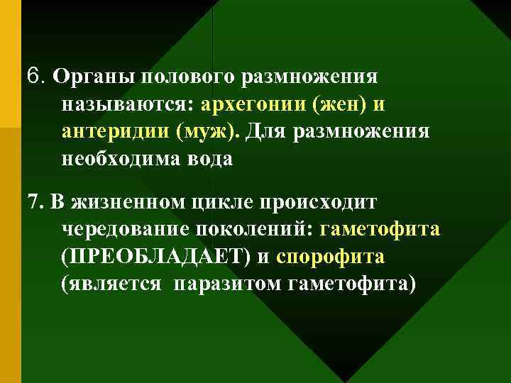 6. Органы полового размножения называются: архегонии (жен) и антеридии (муж). Для размножения необходима вода