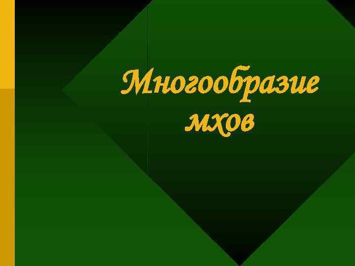 Многообразие мхов 