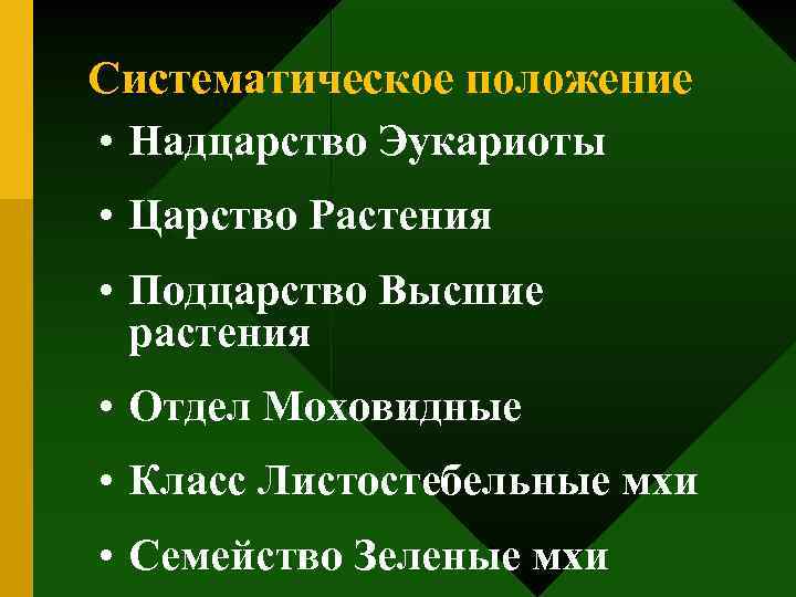 Систематическое положение • Надцарство Эукариоты • Царство Растения • Подцарство Высшие растения • Отдел