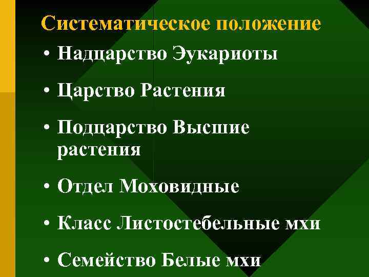 Систематическое положение • Надцарство Эукариоты • Царство Растения • Подцарство Высшие растения • Отдел