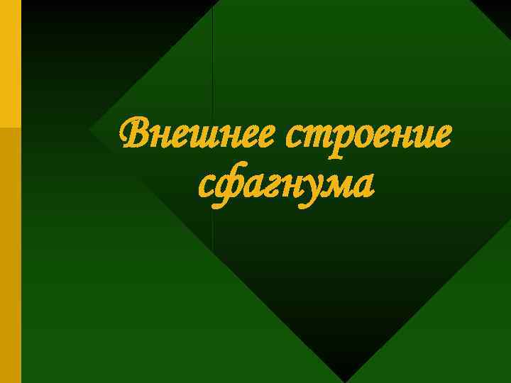 Внешнее строение сфагнума 