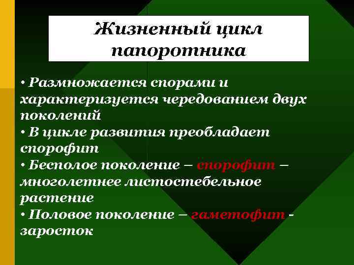 Жизненный цикл папоротника • Размножается спорами и характеризуется чередованием двух поколений • В цикле