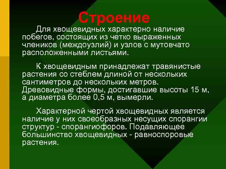 Строение Для хвощевидных характерно наличие побегов, состоящих из четко выраженных члеников (междоузлий) и узлов