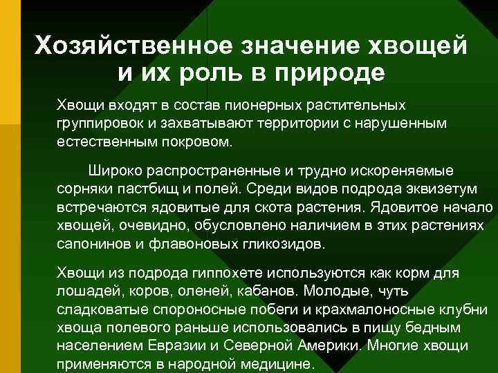 Хозяйственное значение хвощей и их роль в природе Хвощи входят в состав пионерных растительных