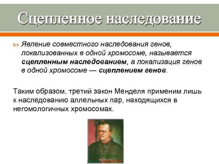 Сцепленное наследование Явление совместного наследования генов, локализованных в одной хромосоме, называется сцепленным наследованием, а