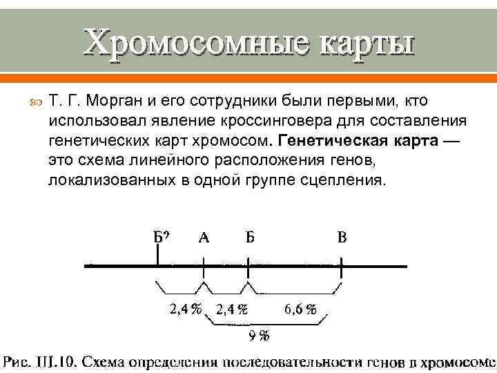 Хромосомные карты Т. Г. Морган и его сотрудники были первыми, кто использовал явление кроссинговера