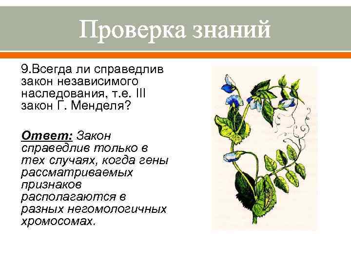 Проверка знаний 9. Всегда ли справедлив закон независимого наследования, т. е. III закон Г.