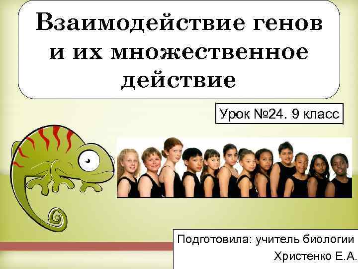 Взаимодействие генов и их множественное действие Урок № 24. 9 класс Подготовила: учитель биологии