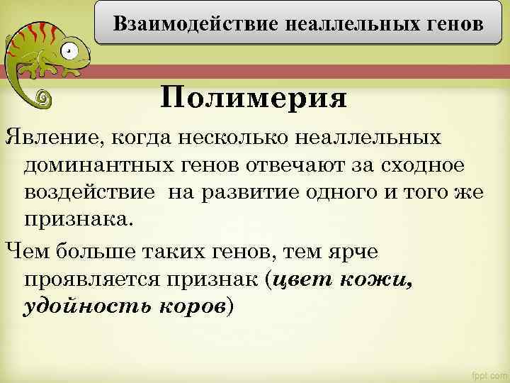 Взаимодействие неаллельных генов Полимерия Явление, когда несколько неаллельных доминантных генов отвечают за сходное воздействие