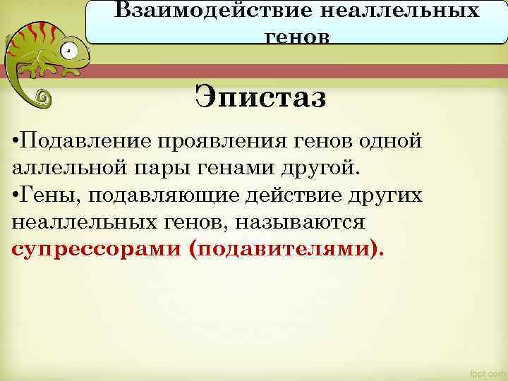 Взаимодействие неаллельных генов Эпистаз • Подавление проявления генов одной аллельной пары генами другой. •