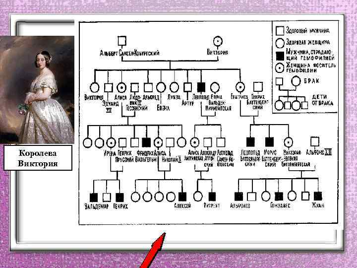 Королева Виктория 