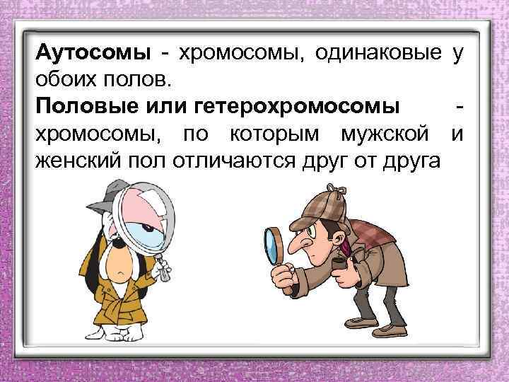 Аутосомы - хромосомы, одинаковые у обоих полов. Половые или гетерохромосомы - хромосомы, по которым