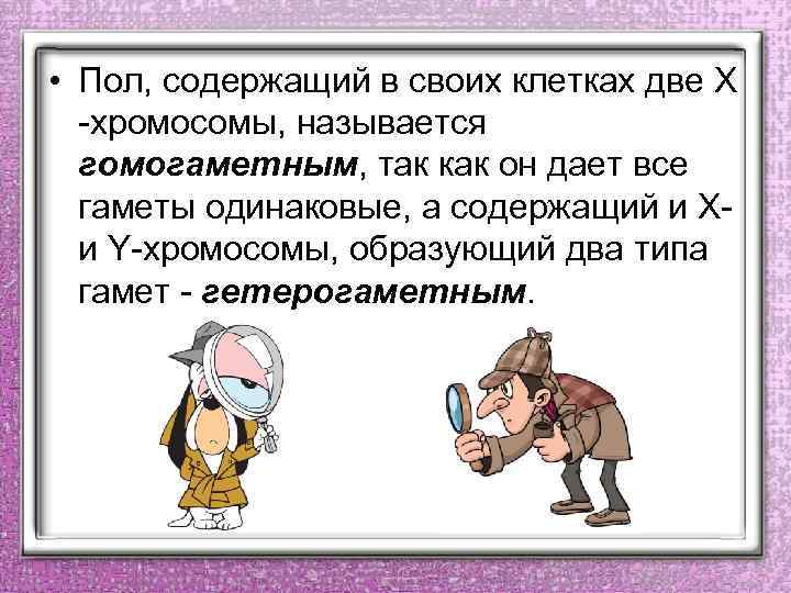  • Пол, содержащий в своих клетках две Х -хромосомы, называется гомогаметным, так как