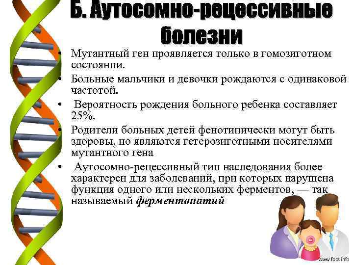 • Мутантный ген проявляется только в гомозиготном состоянии. • Больные мальчики и девочки