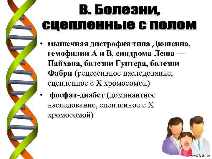  • мышечная дистрофия типа Дюшенна, гемофилии А и В, синдрома Леша — Найхана,