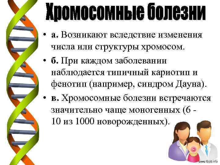  • а. Возникают вследствие изменения числа или структуры хромосом. • б. При каждом