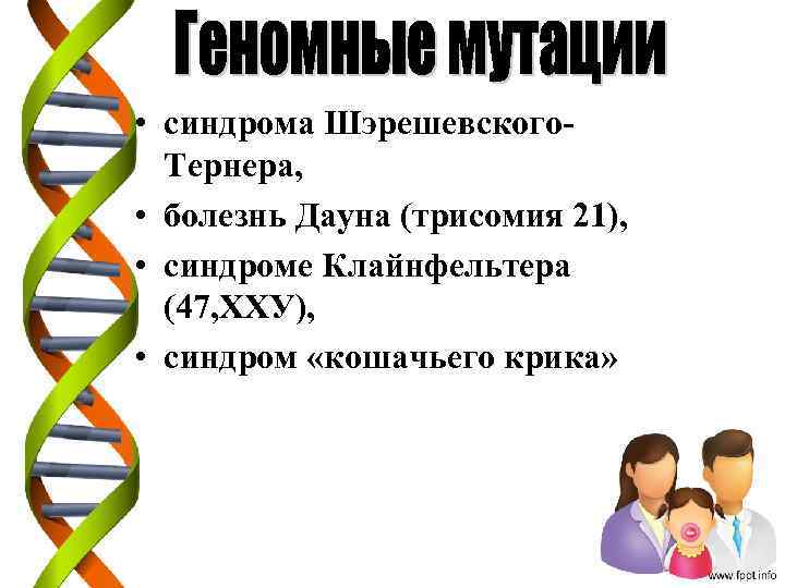  • синдрома Шэрешевского. Тернера, • болезнь Дауна (трисомия 21), • синдроме Клайнфельтера (47,
