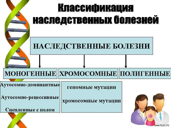 НАСЛЕДСТВЕННЫЕ БОЛЕЗНИ МОНОГЕННЫЕ ХРОМОСОМНЫЕ ПОЛИГЕННЫЕ Аутосомно-доминантные Аутосомно-рецессивные Сцепленные с полом геномные мутации хромосомные мутации