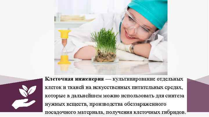 Клеточная инженерия — культивирование отдельных клеток и тканей на искусственных питательных средах, которые в