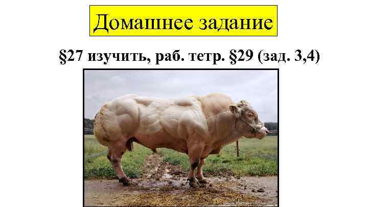 Домашнее задание § 27 изучить, раб. тетр. § 29 (зад. 3, 4) 