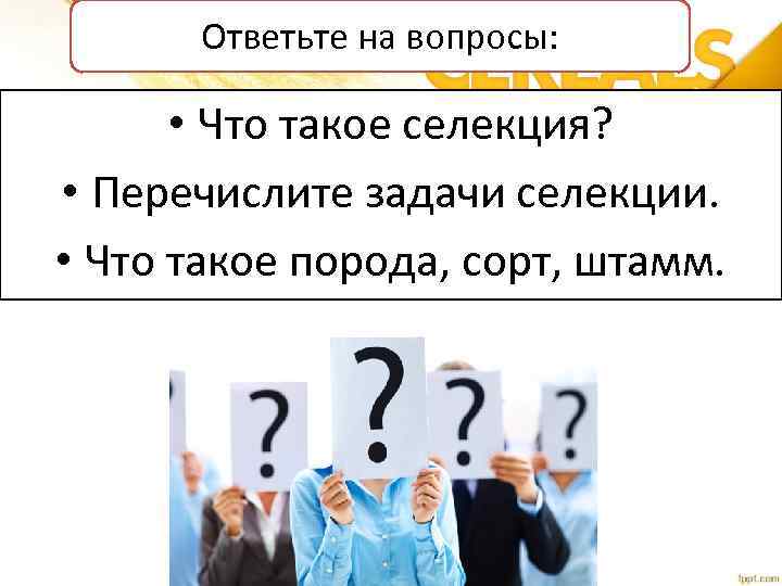 Ответьте на вопросы: • Что такое селекция? • Перечислите задачи селекции. • Что такое
