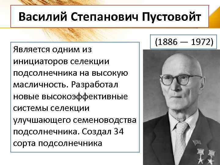 Василий Степанович Пустовойт Является одним из инициаторов селекции подсолнечника на высокую масличность. Разработал новые