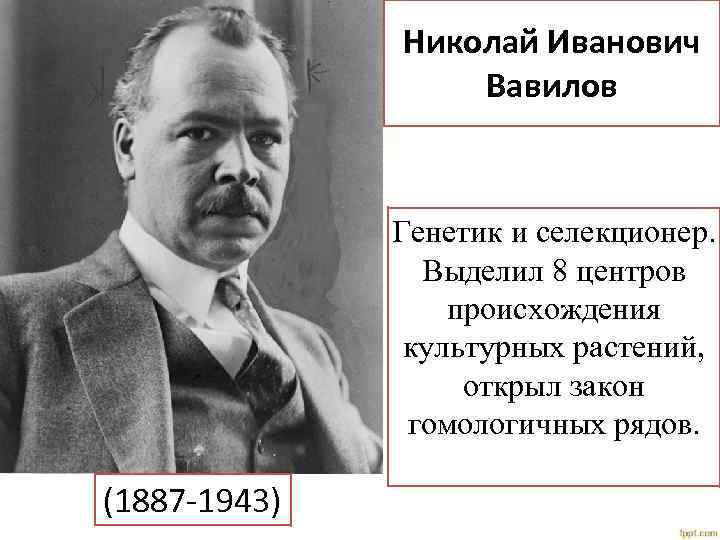 Николай Иванович Вавилов Генетик и селекционер. Выделил 8 центров происхождения культурных растений, открыл закон