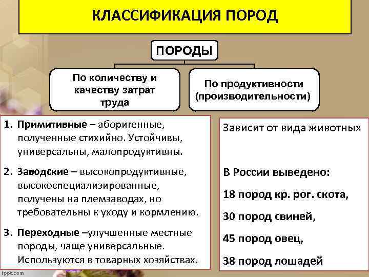 КЛАССИФИКАЦИЯ ПОРОДЫ По количеству и качеству затрат труда По продуктивности (производительности) 1. Примитивные –