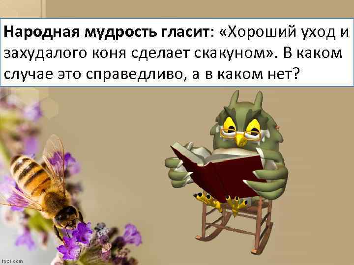 Народная мудрость гласит: «Хороший уход и захудалого коня сделает скакуном» . В каком случае