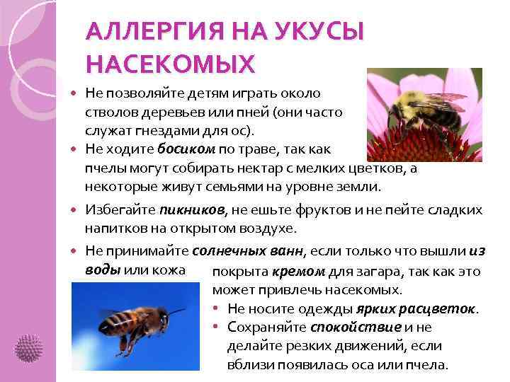 Какие отношения между крапивницей и пчелой. Аллергическая реакция при укусах насекомых. Аллергия при укусе насекомых.