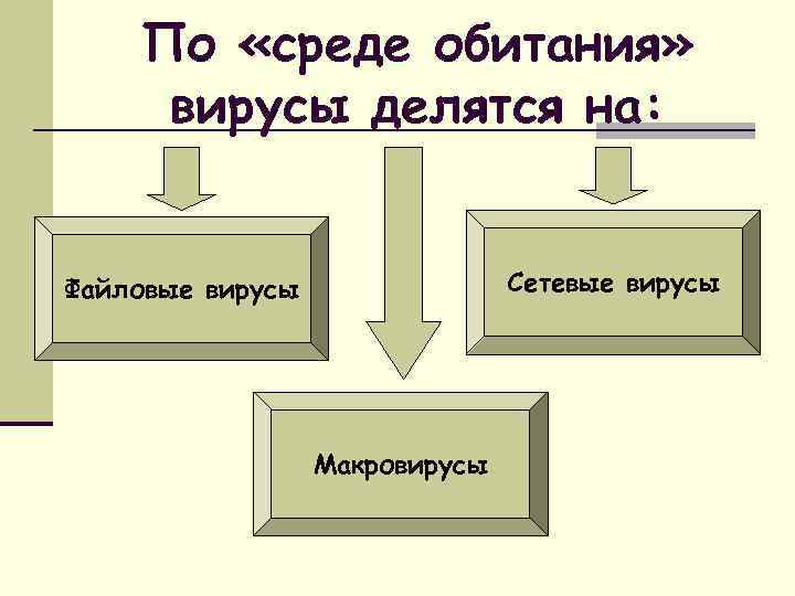 По «среде обитания» вирусы делятся на: Сетевые вирусы Файловые вирусы Макровирусы 