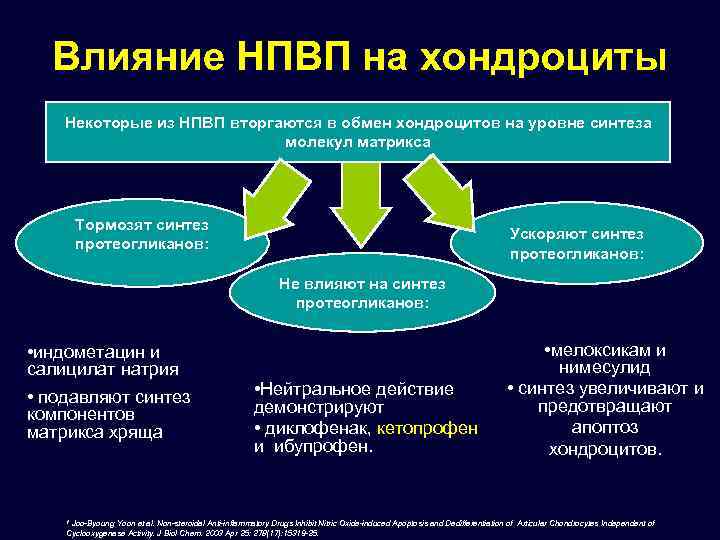 Влияние НПВП на хондроциты Некоторые из НПВП вторгаются в обмен хондроцитов на уровне синтеза
