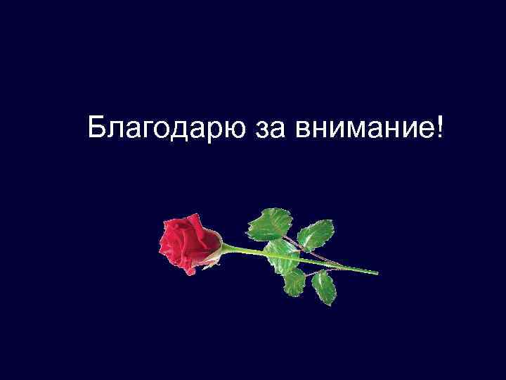 Благодарю за внимание! 