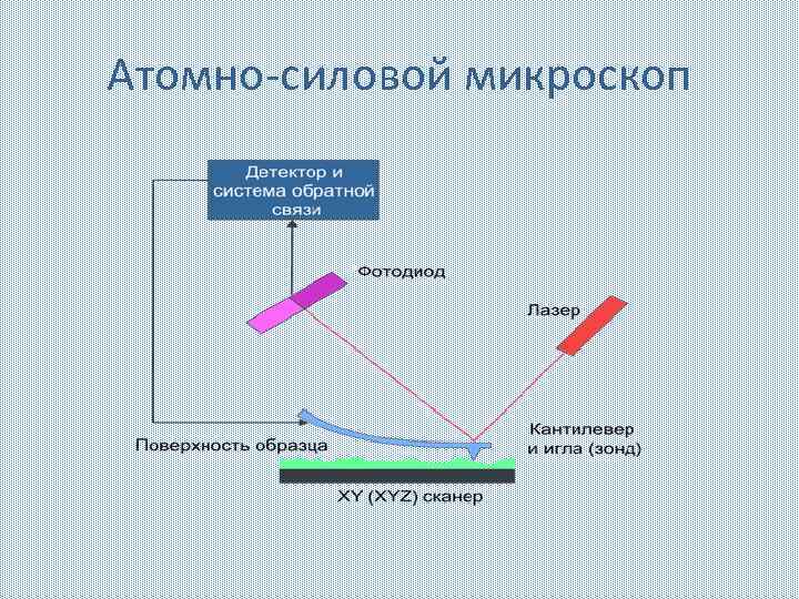 Атомно-силовой микроскоп 