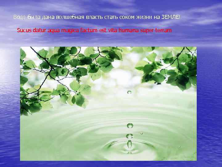 Урок вода. Воде была дана Волшебная власть. Воде была дана Волшебная власть стать соком жизни. Вода сок жизни на земле. Вода сок жизни на земле Леонардо да Винчи.