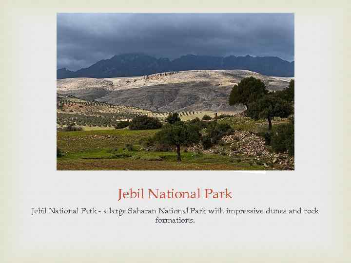 Jebil National Park - a large Saharan National Park with impressive dunes and rock