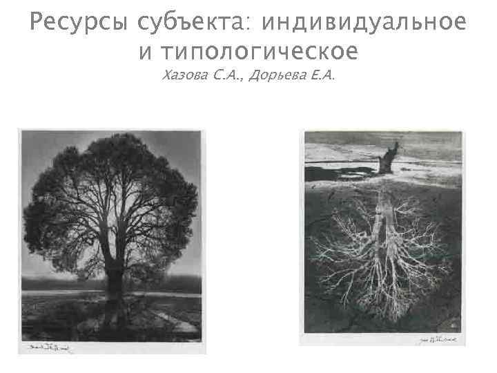 Ресурсы субъекта: индивидуальное и типологическое Хазова С. А. , Дорьева Е. А. 