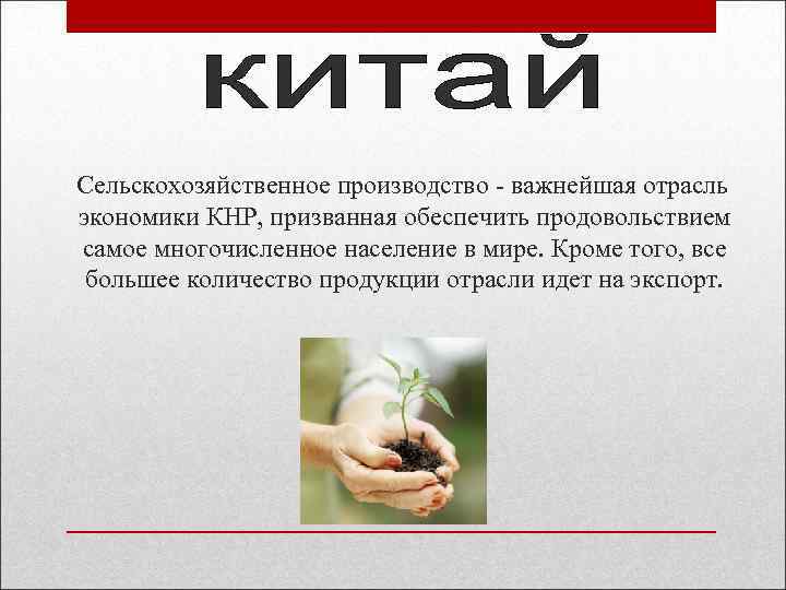  Сельскохозяйственное производство - важнейшая отрасль экономики КНР, призванная обеспечить продовольствием самое многочисленное население
