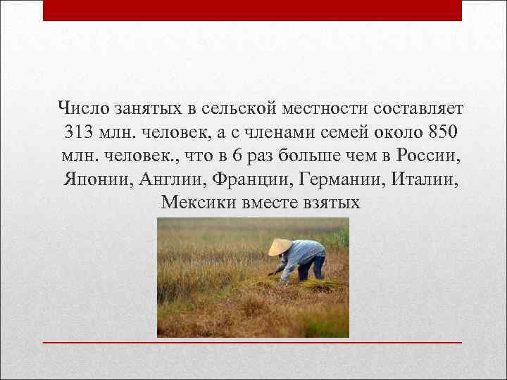  Число занятых в сельской местности составляет 313 млн. человек, а с членами семей