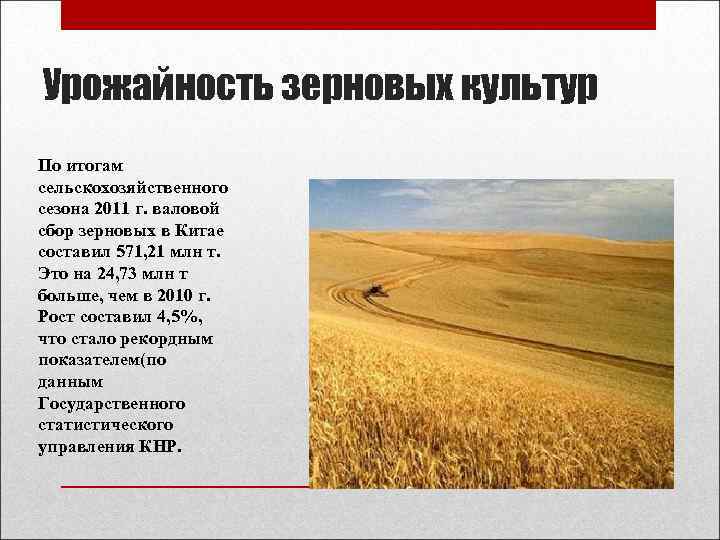 Урожайность зерновых культур По итогам сельскохозяйственного сезона 2011 г. валовой сбор зерновых в Китае