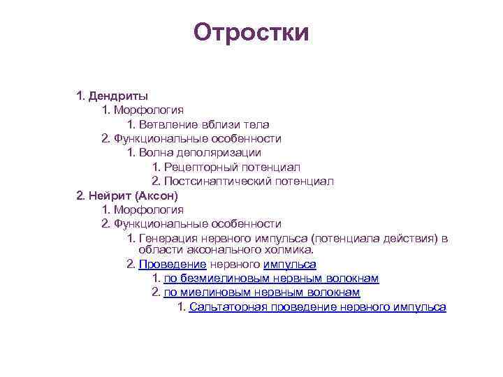 Отростки 1. Дендриты 1. Морфология 1. Ветвление вблизи тела 2. Функциональные особенности 1. Волна