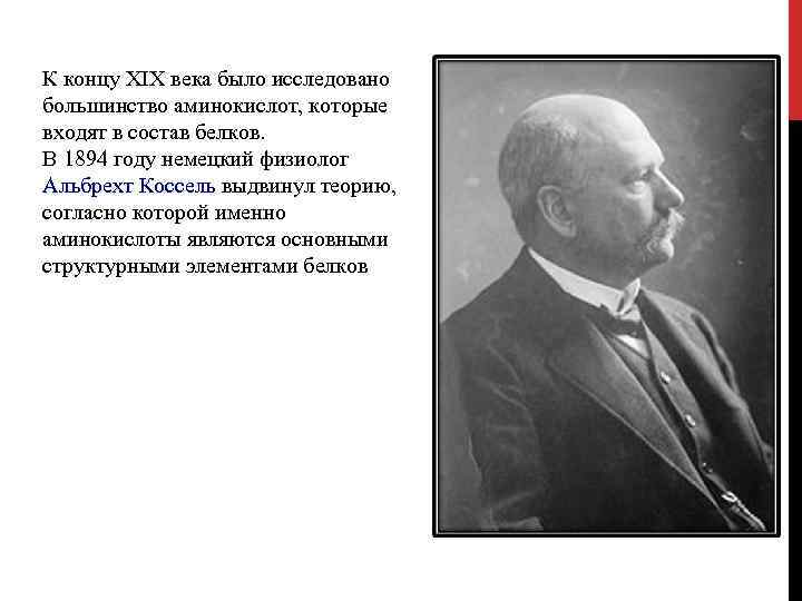 К концу XIX века было исследовано большинство аминокислот, которые входят в состав белков. В