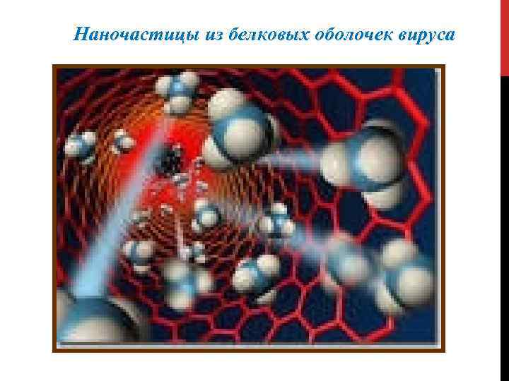 Наночастицы из белковых оболочек вируса 