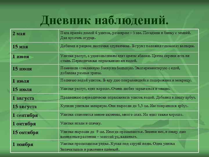 Дневник наблюдений. 2 мая Папа принёс домой 4 улиток, размером – 3 мм. Посадили