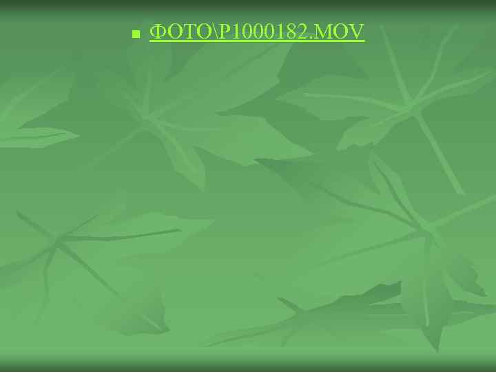 n ФОТОP 1000182. MOV 