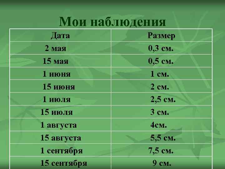 Мои наблюдения Дата 2 мая 15 мая 1 июня 15 июня 1 июля 15