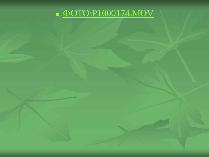 n ФОТОP 1000174. MOV 
